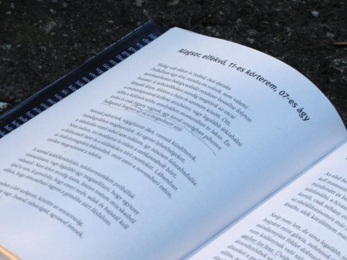 Fehér Enikő: A vers és az ő anyja – Kritika Horváth Florencia Hiátus című kötetéről